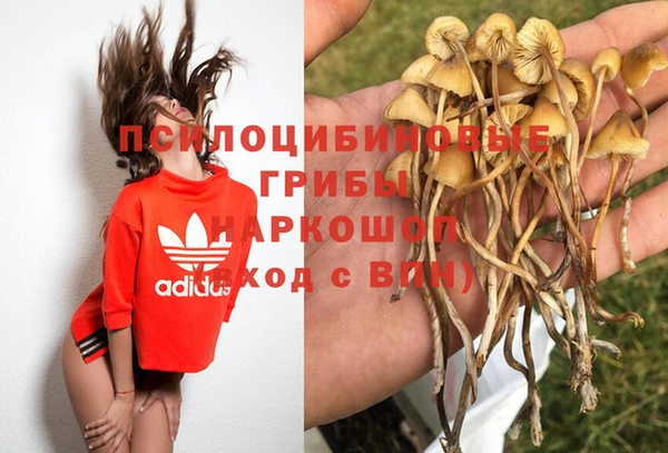 мдпв Горняк