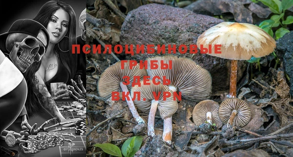 мдпв Горняк