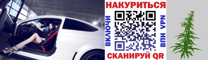 Канабис план  Купить  Бабушкин 